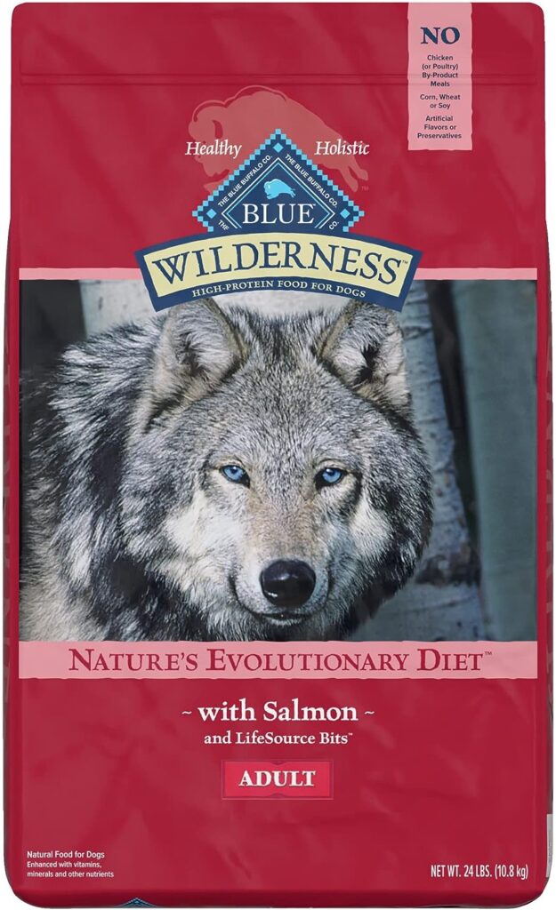 Blue Wilderness Adult Salmon Recipe Dry Dog Food
