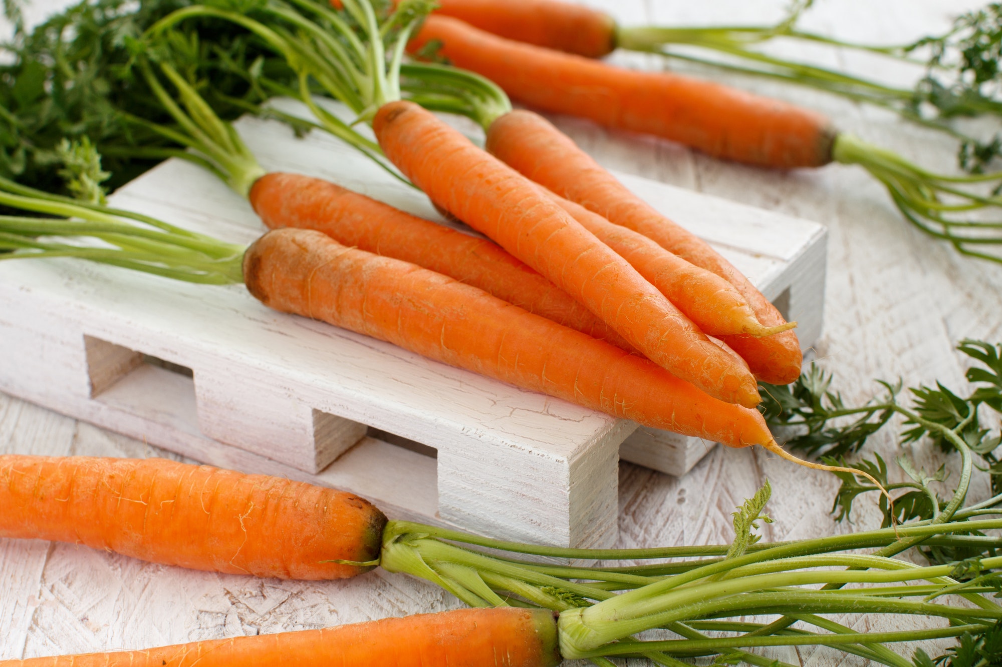 Fresh raw carrots