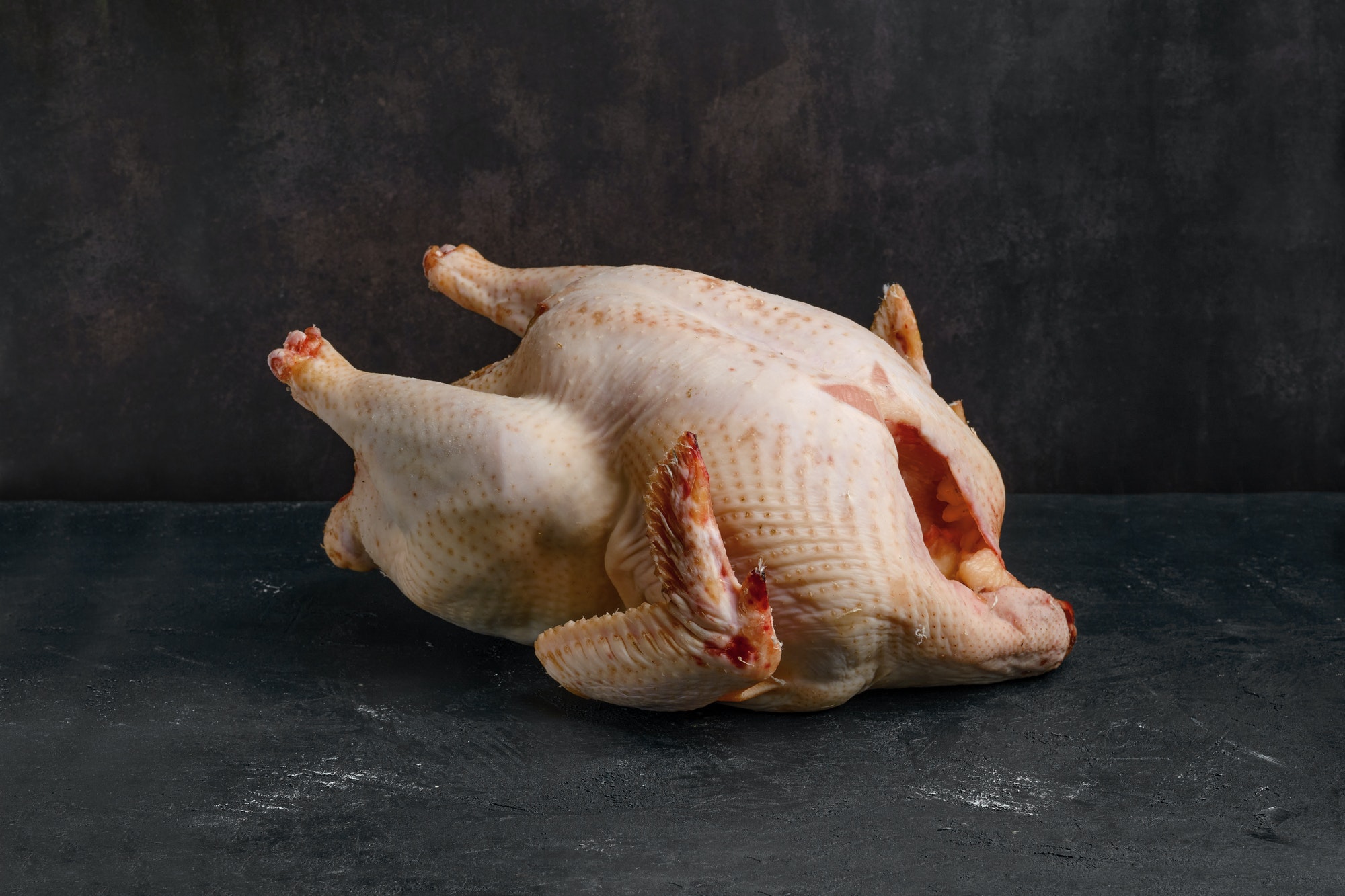Whole raw turkey carcase on dark background.